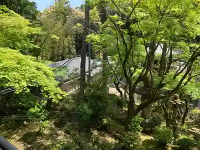 真福寺(愛知県)