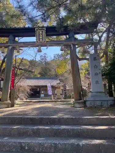 藤白神社の鳥居