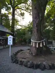 玉村八幡宮の庭園