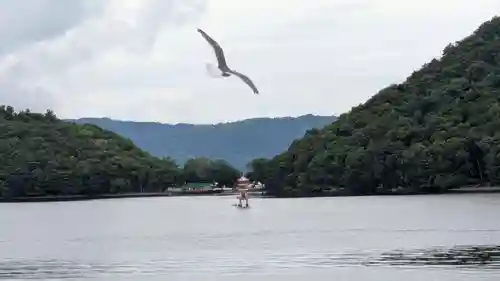 中島三重の塔の本殿・本堂