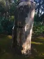 子安神社の自然