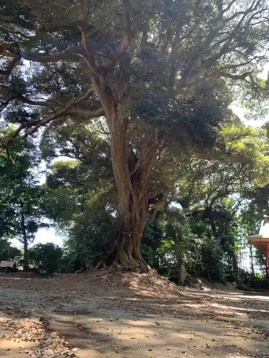 宇賀神社(千葉県)