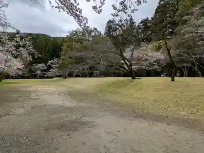 大斎原（熊野本宮大社旧社地）の{uncategorized: "未分類", other: "その他", undefined: "問題あり", building: "その他建物", grave: "お墓", sacred_gate: "鳥居", guardian: "狛犬", statue: "像", buddha: "仏像", history: "歴史", nature: "自然", garden: "庭園", animal: "動物", pagoda: "塔", temizu: "手水舎", mountain_gate: "山門・神門", sanctuary: "本殿・本堂", subordinate: "末社・摂社", art: "芸術", scenery: "景色", jizo: "地蔵", ema: "絵馬", goshuin: "御朱印", omikuji: "おみくじ", items: "授与品その他", amulet: "お守り", goshuincho: "御朱印帳", eats: "食事", festival: "お祭り", votive_dance: "神楽", shichigosan: "七五三参", wedding: "結婚式", experience: "体験その他", initially: "初詣", around: "周辺", anti_infection: "感染症対策"}