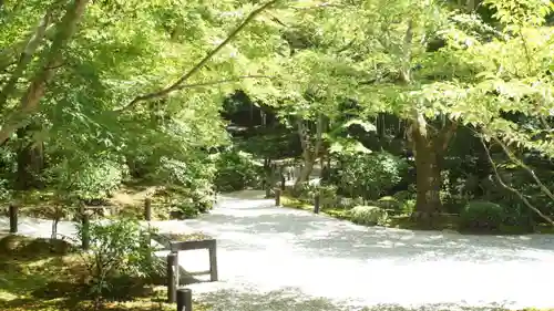 圓光寺(京都府)