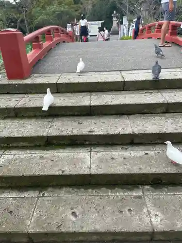 旗上弁財天社の動物