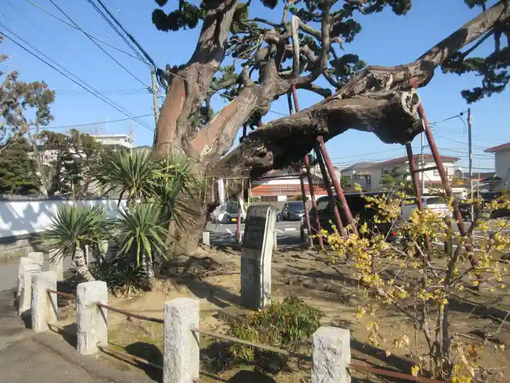 妙法寺(神奈川県)