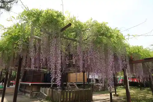 葛井寺(大阪府)