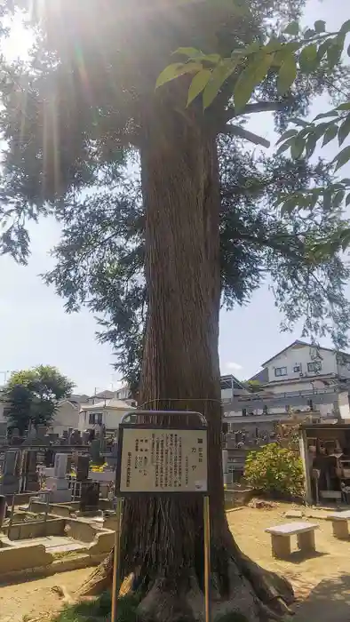 瑠璃光寺の建物その他