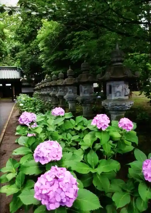 妙法寺(東京都)