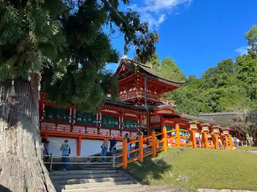 春日大社(奈良県)