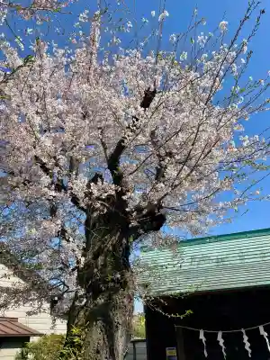 御嶽神社の{uncategorized: "未分類", other: "その他", undefined: "問題あり", building: "その他建物", grave: "お墓", sacred_gate: "鳥居", guardian: "狛犬", statue: "像", buddha: "仏像", history: "歴史", nature: "自然", garden: "庭園", animal: "動物", pagoda: "塔", temizu: "手水舎", mountain_gate: "山門・神門", sanctuary: "本殿・本堂", subordinate: "末社・摂社", art: "芸術", scenery: "景色", jizo: "地蔵", ema: "絵馬", goshuin: "御朱印", omikuji: "おみくじ", items: "授与品その他", amulet: "お守り", goshuincho: "御朱印帳", eats: "食事", festival: "お祭り", votive_dance: "神楽", shichigosan: "七五三参", wedding: "結婚式", experience: "体験その他", initially: "初詣", around: "周辺", anti_infection: "感染症対策"}