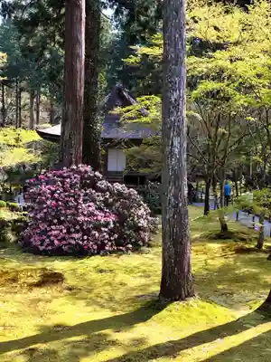 三千院門跡(京都府)