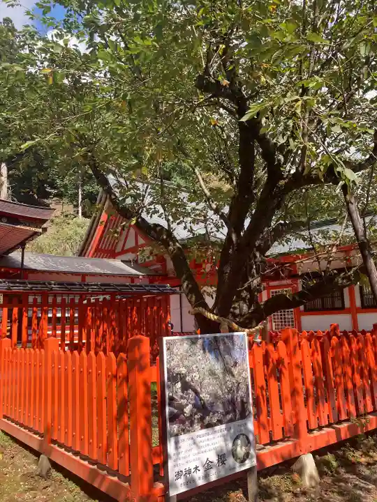 金櫻神社(山梨県)