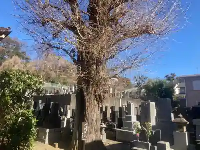 甚行寺の{uncategorized: "未分類", other: "その他", undefined: "問題あり", building: "その他建物", grave: "お墓", sacred_gate: "鳥居", guardian: "狛犬", statue: "像", buddha: "仏像", history: "歴史", nature: "自然", garden: "庭園", animal: "動物", pagoda: "塔", temizu: "手水舎", mountain_gate: "山門・神門", sanctuary: "本殿・本堂", subordinate: "末社・摂社", art: "芸術", scenery: "景色", jizo: "地蔵", ema: "絵馬", goshuin: "御朱印", omikuji: "おみくじ", items: "授与品その他", amulet: "お守り", goshuincho: "御朱印帳", eats: "食事", festival: "お祭り", votive_dance: "神楽", shichigosan: "七五三参", wedding: "結婚式", experience: "体験その他", initially: "初詣", around: "周辺", anti_infection: "感染症対策"}