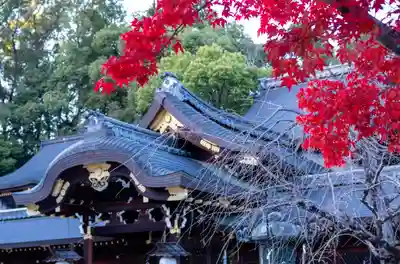 今宮神社の本殿・本堂