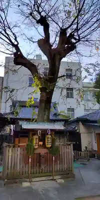 天神社(大阪府)