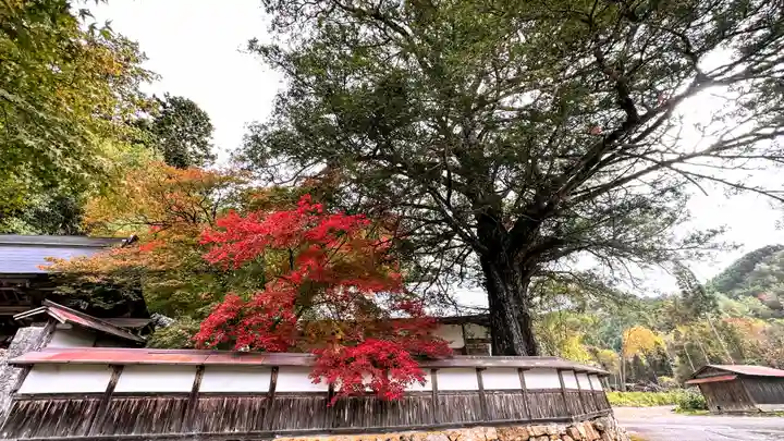 正法寺(京都府)