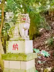 阿夫利神社の狛犬