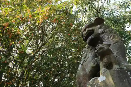 豊景神社の狛犬