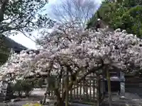道相神社(京都府)