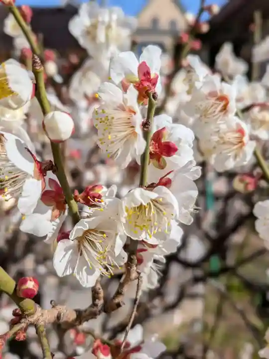 福王山 慈眼寺(東京都)