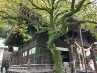 根岸八幡神社の{uncategorized: "未分類", other: "その他", undefined: "問題あり", building: "その他建物", grave: "お墓", sacred_gate: "鳥居", guardian: "狛犬", statue: "像", buddha: "仏像", history: "歴史", nature: "自然", garden: "庭園", animal: "動物", pagoda: "塔", temizu: "手水舎", mountain_gate: "山門・神門", sanctuary: "本殿・本堂", subordinate: "末社・摂社", art: "芸術", scenery: "景色", jizo: "地蔵", ema: "絵馬", goshuin: "御朱印", omikuji: "おみくじ", items: "授与品その他", amulet: "お守り", goshuincho: "御朱印帳", eats: "食事", festival: "お祭り", votive_dance: "神楽", shichigosan: "七五三参", wedding: "結婚式", experience: "体験その他", initially: "初詣", around: "周辺", anti_infection: "感染症対策"}