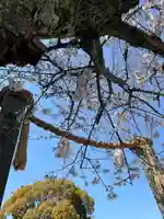 伊勢山皇大神宮(神奈川県)