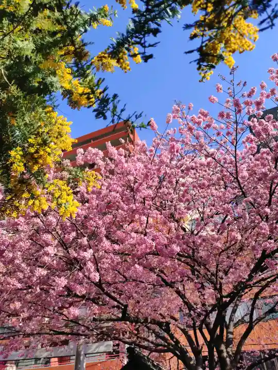 蔵前神社の{uncategorized: "未分類", other: "その他", undefined: "問題あり", building: "その他建物", grave: "お墓", sacred_gate: "鳥居", guardian: "狛犬", statue: "像", buddha: "仏像", history: "歴史", nature: "自然", garden: "庭園", animal: "動物", pagoda: "塔", temizu: "手水舎", mountain_gate: "山門・神門", sanctuary: "本殿・本堂", subordinate: "末社・摂社", art: "芸術", scenery: "景色", jizo: "地蔵", ema: "絵馬", goshuin: "御朱印", omikuji: "おみくじ", items: "授与品その他", amulet: "お守り", goshuincho: "御朱印帳", eats: "食事", festival: "お祭り", votive_dance: "神楽", shichigosan: "七五三参", wedding: "結婚式", experience: "体験その他", initially: "初詣", around: "周辺", anti_infection: "感染症対策"}