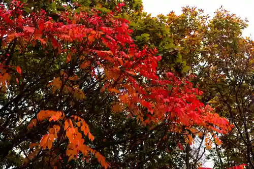 横岳神社(長野県)