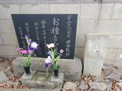 円照寺(埼玉県)