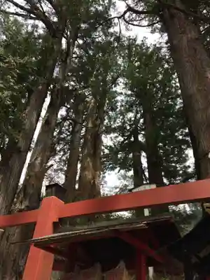 日光二荒山神社(栃木県)