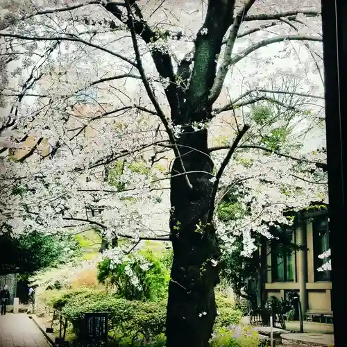 湯島聖堂のその他建物