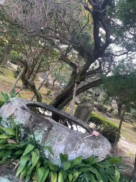 極楽寺の手水舎