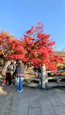 夫婦大國社(春日大社末社)(奈良県)