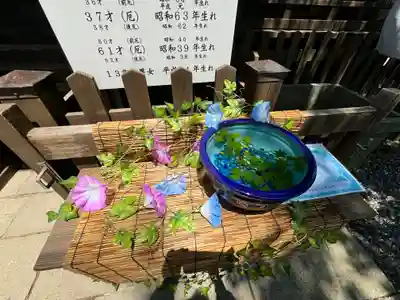 阿邪訶根神社(福島県)