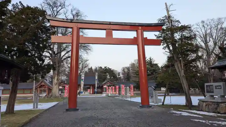 北海道護國神社の鳥居