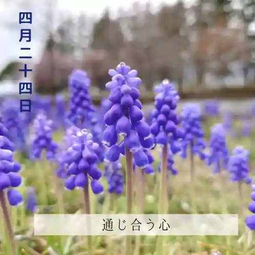 壽徳寺 じゅとくじ(福島県)