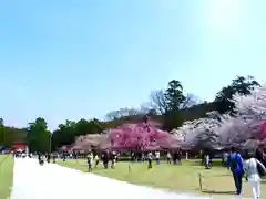 賀茂別雷神社（上賀茂神社）(京都府)