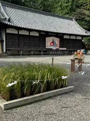 美濃國一宮　南宮大社(岐阜県)