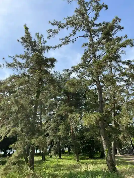 天橋立神社(京都府)