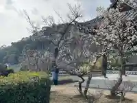 大山寺(広島県)