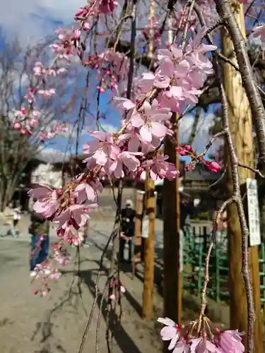 大國魂神社(東京都)