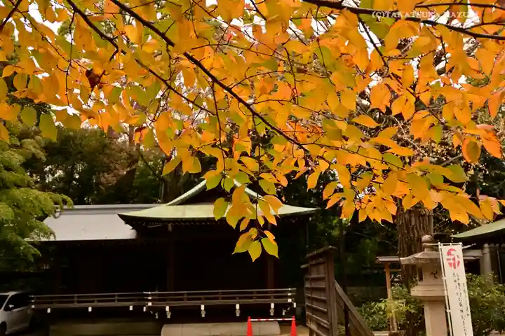 渋谷氷川神社のその他建物