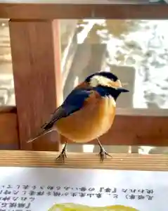 蚊里田八幡宮(長野県)(2025年02月12日(水) 14時47分26秒投稿)