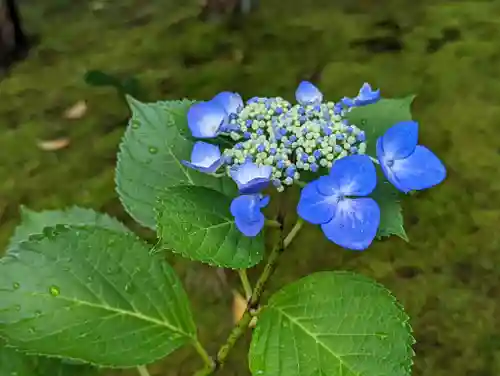 法金剛院(京都府)