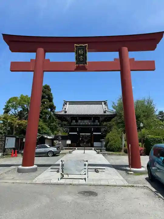 梅宮大社(京都府)