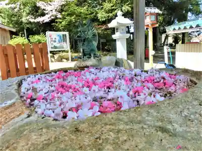 立志神社の手水舎