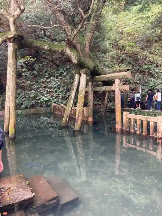 鹿島神宮(茨城県)