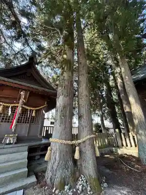 飛騨総社(岐阜県)