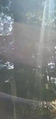 麻賀多神社(千葉県)